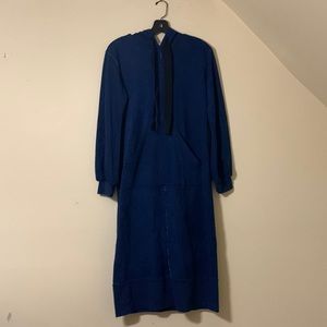 Winter Velour Hooded Dress